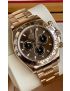 Rolex Daytona Rose Gold Chocolate Dial