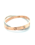 Cartier Bi-Color Gold & Diamond Double Love Bracelet