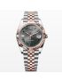 Rolex Datejust “Wimbledon” 41