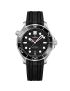Omega Seamaster Diver