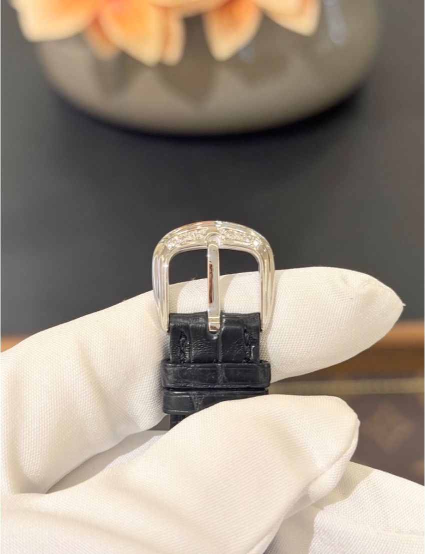 Franck Muller Cintrée Curvex Colour Dreams White Gold