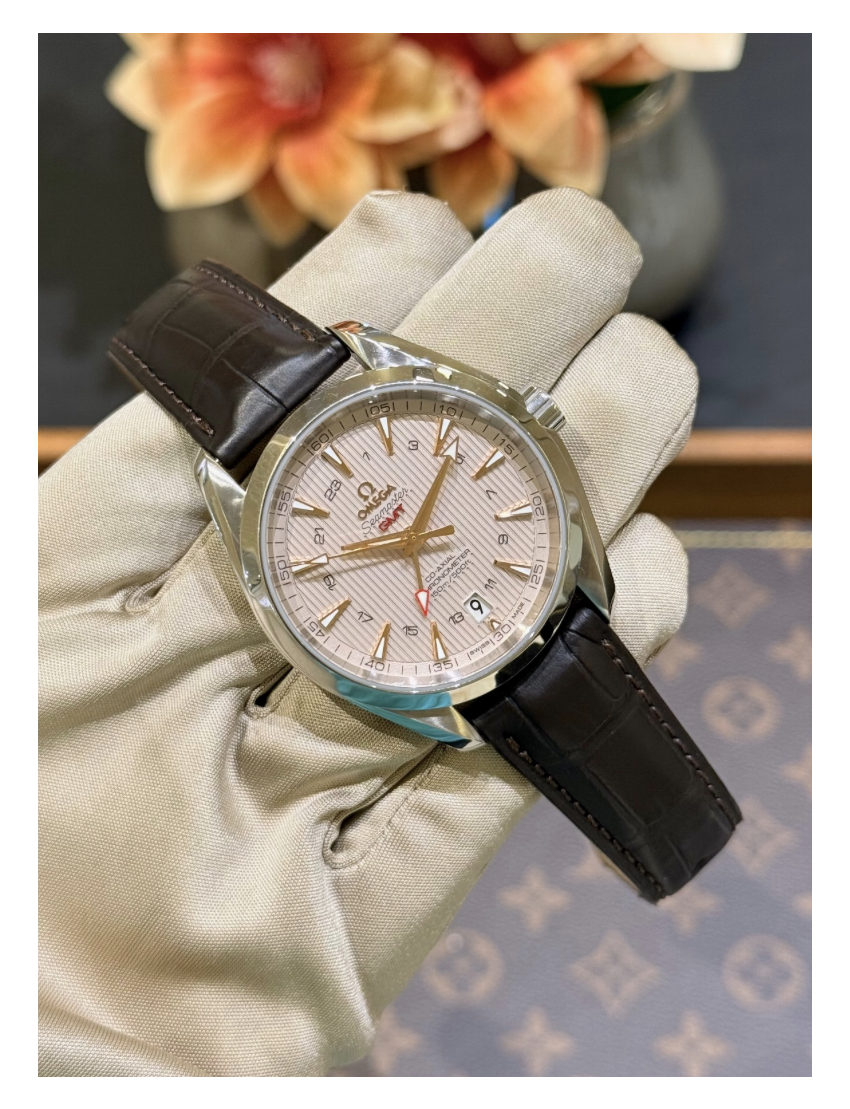 Omega Seamaster Aqua Terra GMT