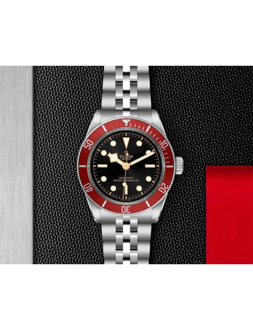 Tudor Black Bay