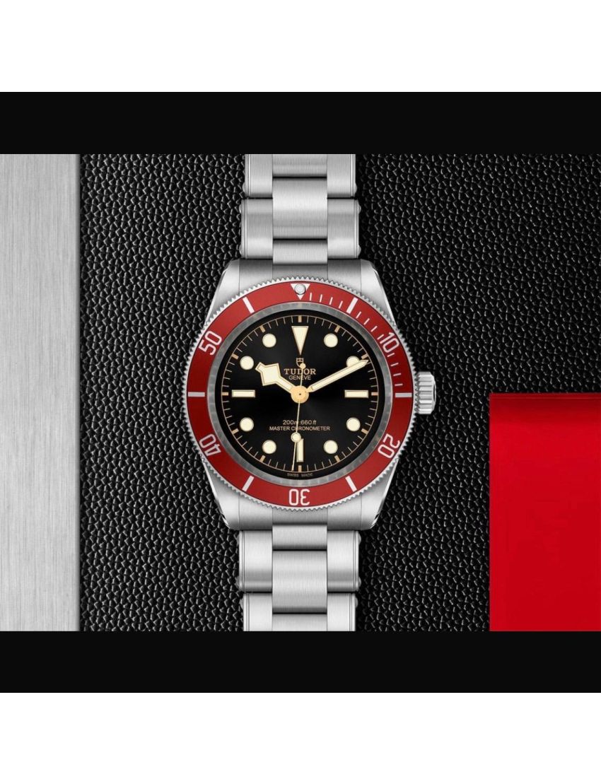 Tudor Black Bay